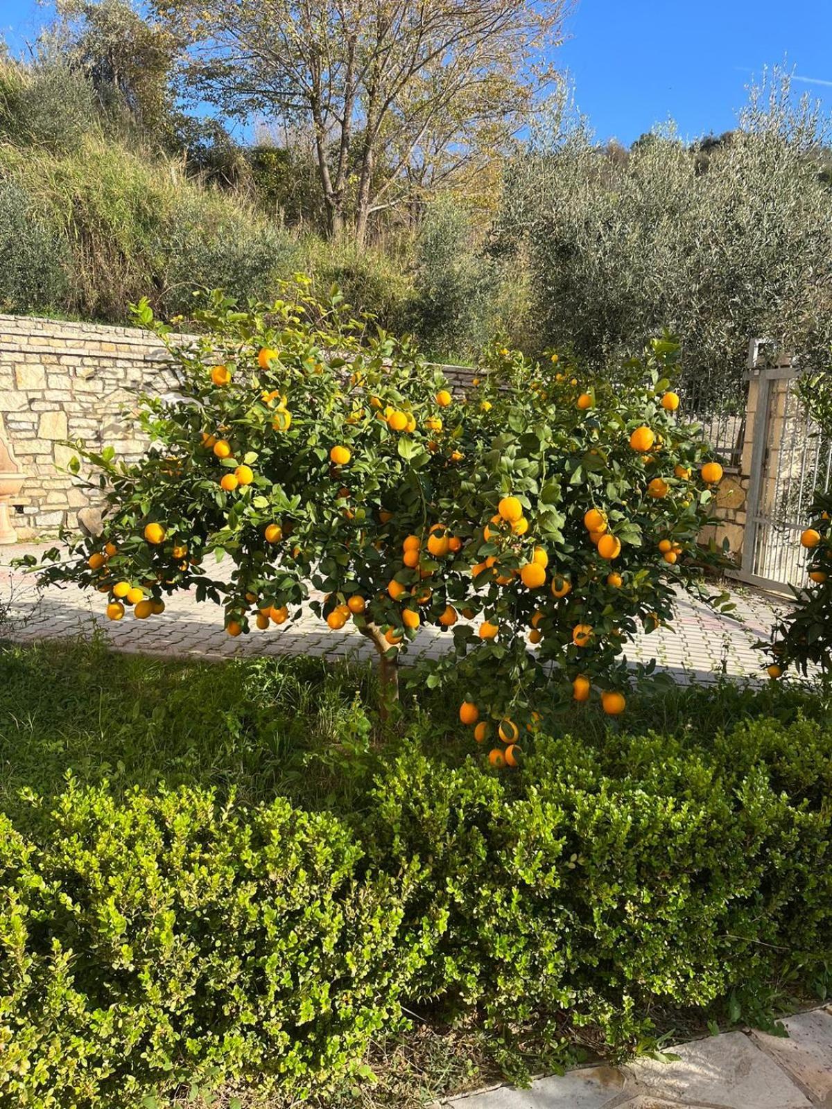 Villa Dei Limoni Shkallnur Exterior photo